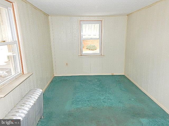 82 Black Diamond Road Pottsville, PA 17901 - Photo 5 of 11