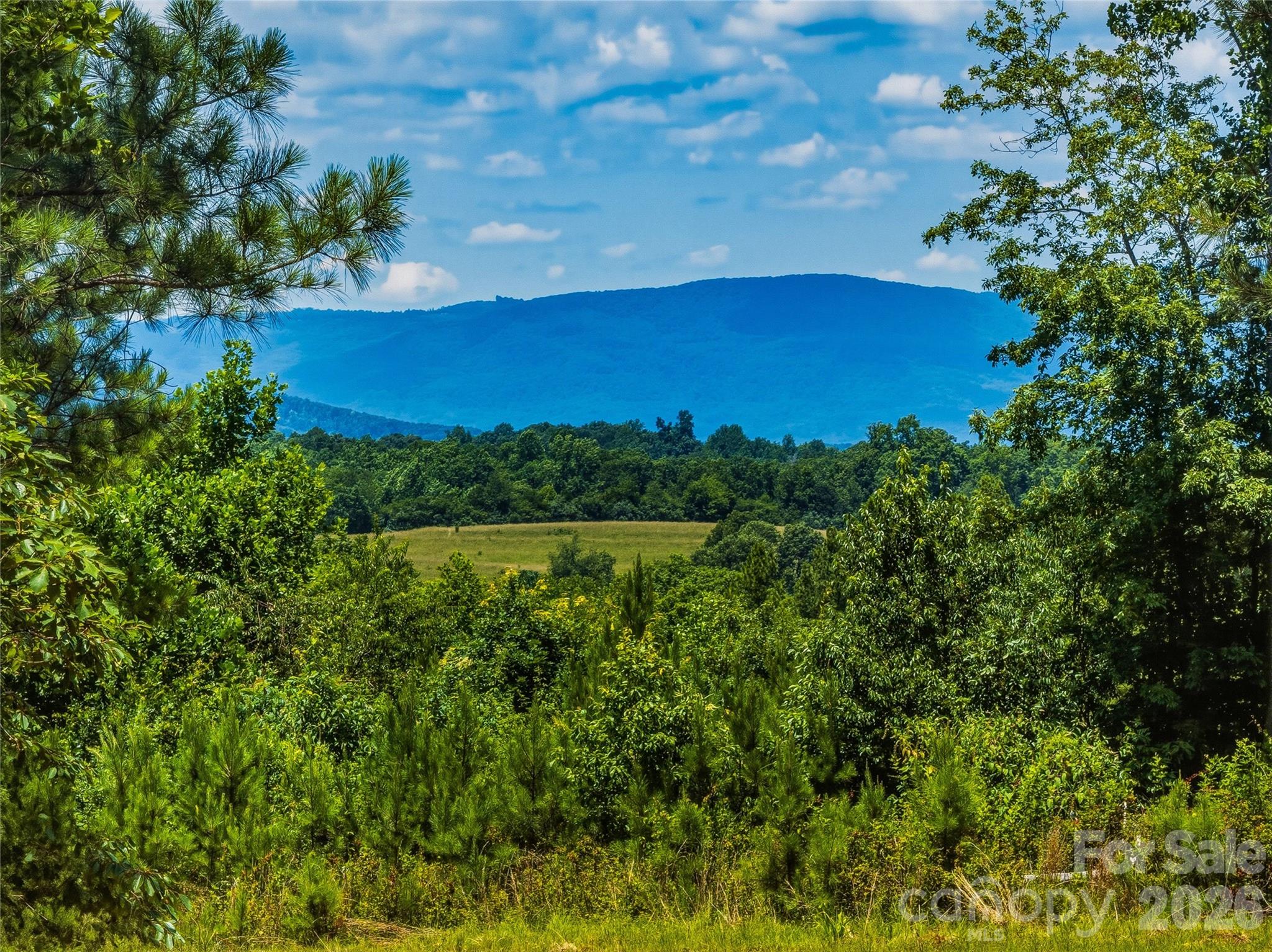 6783 Peniel Road Tryon, NC 28782 - Photo 23 of 36