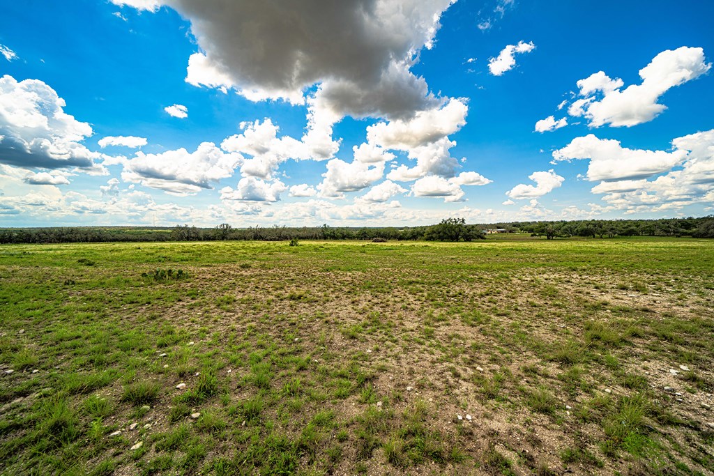 446 Mosel Road Harper, TX 78631 - Photo 7 of 26 Gallery Image 7