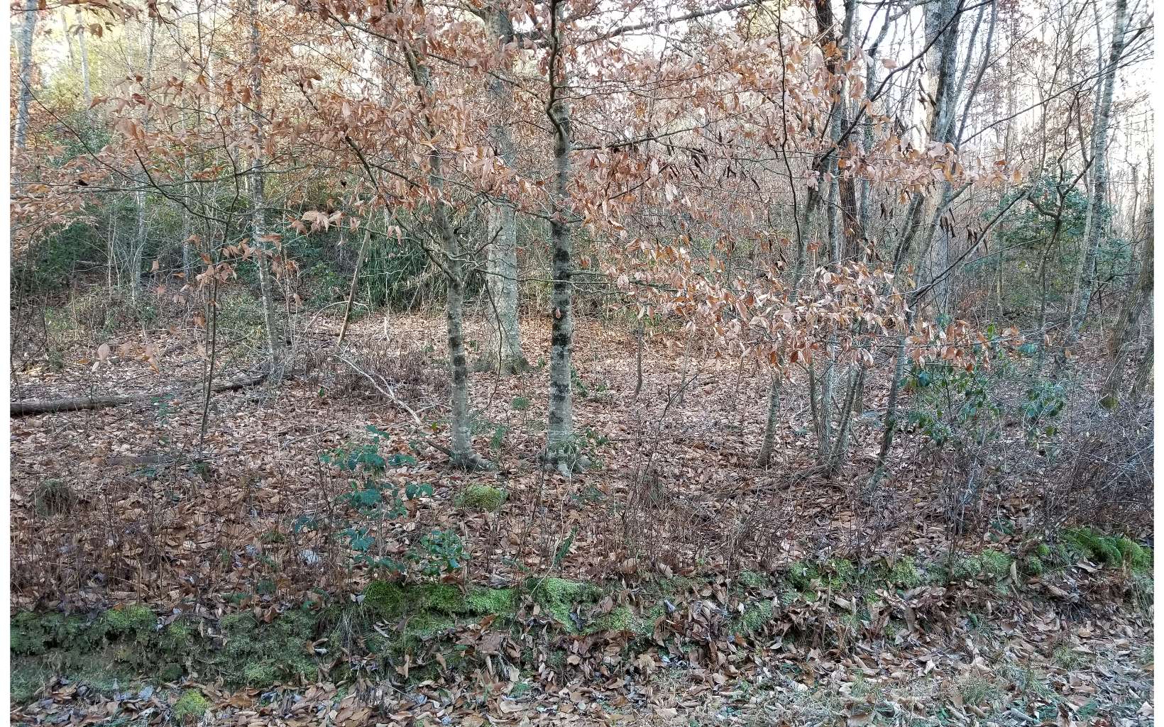 3260 Shoal Creek Road Murphy, NC 28906 - Photo 5 of 6 Additional View
