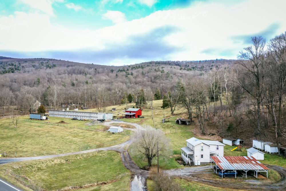 13818 Brocks Gap Road Fulks Run, VA 22830 - Photo 1 of 50 Gallery Image 1