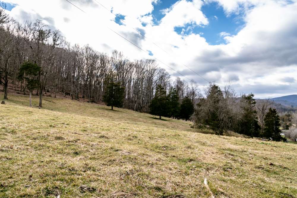 13818 Brocks Gap Road Fulks Run, VA 22830 - Photo 29 of 50 Gallery Image 29