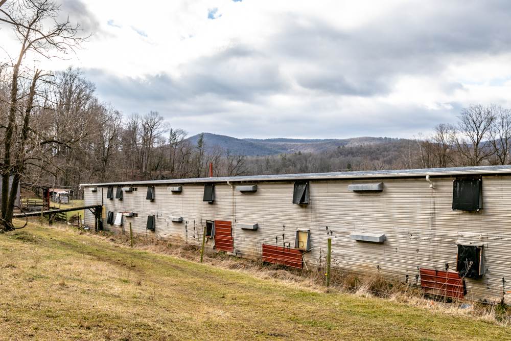 13818 Brocks Gap Road Fulks Run, VA 22830 - Photo 30 of 50 Gallery Image 30