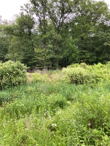 a view of outdoor space and garden