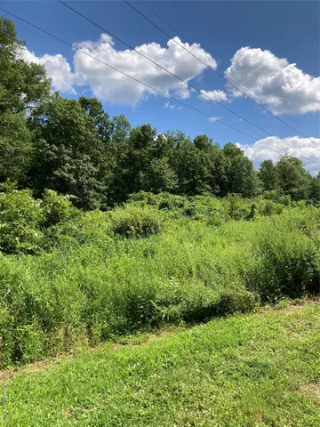 a view of a big yard with a large tree