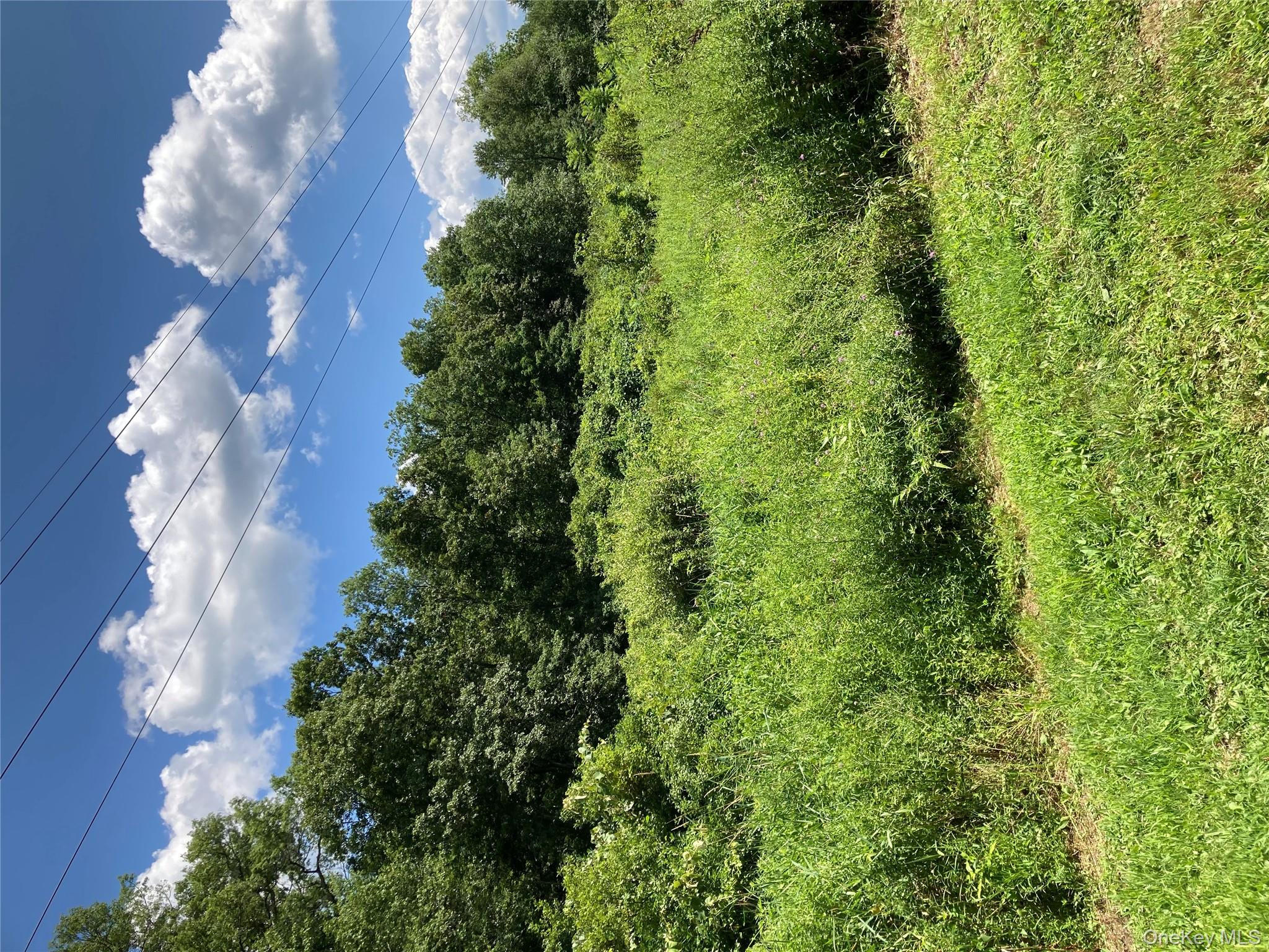 Baxtertown Road Fishkill, NY 12524 - Photo 12 of 19 a view of a garden with an outdoor space