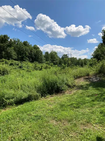 a view of a garden with plants