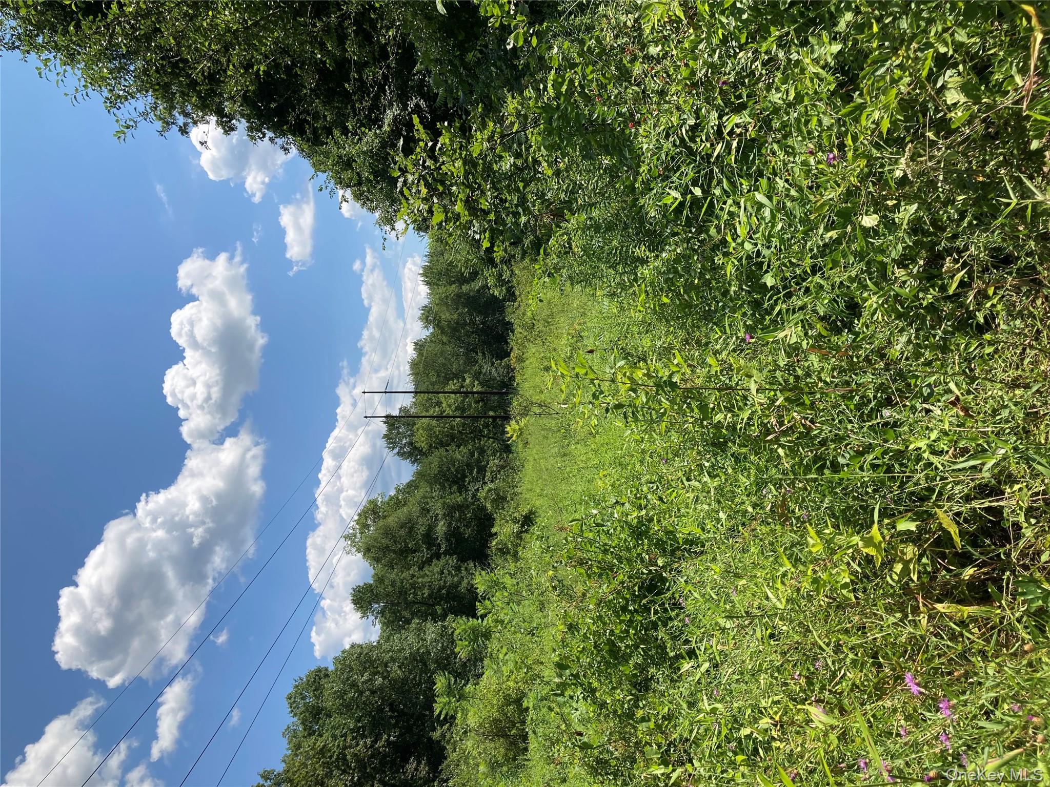 Baxtertown Road Fishkill, NY 12524 - Photo 14 of 19 a view of a big yard with a large tree