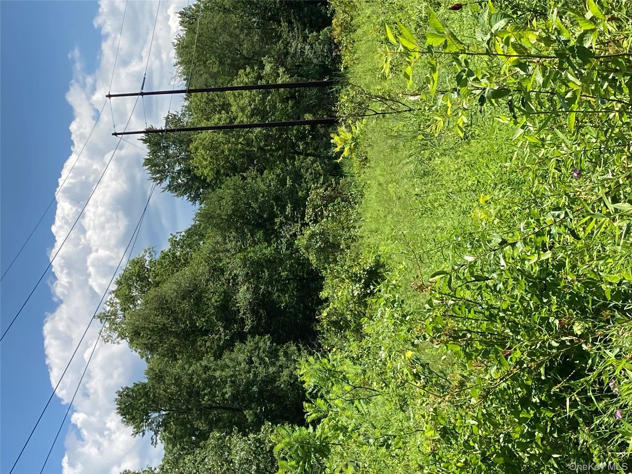 Baxtertown Road Fishkill, NY 12524 - Photo 15 of 19 a view of a garden with plants