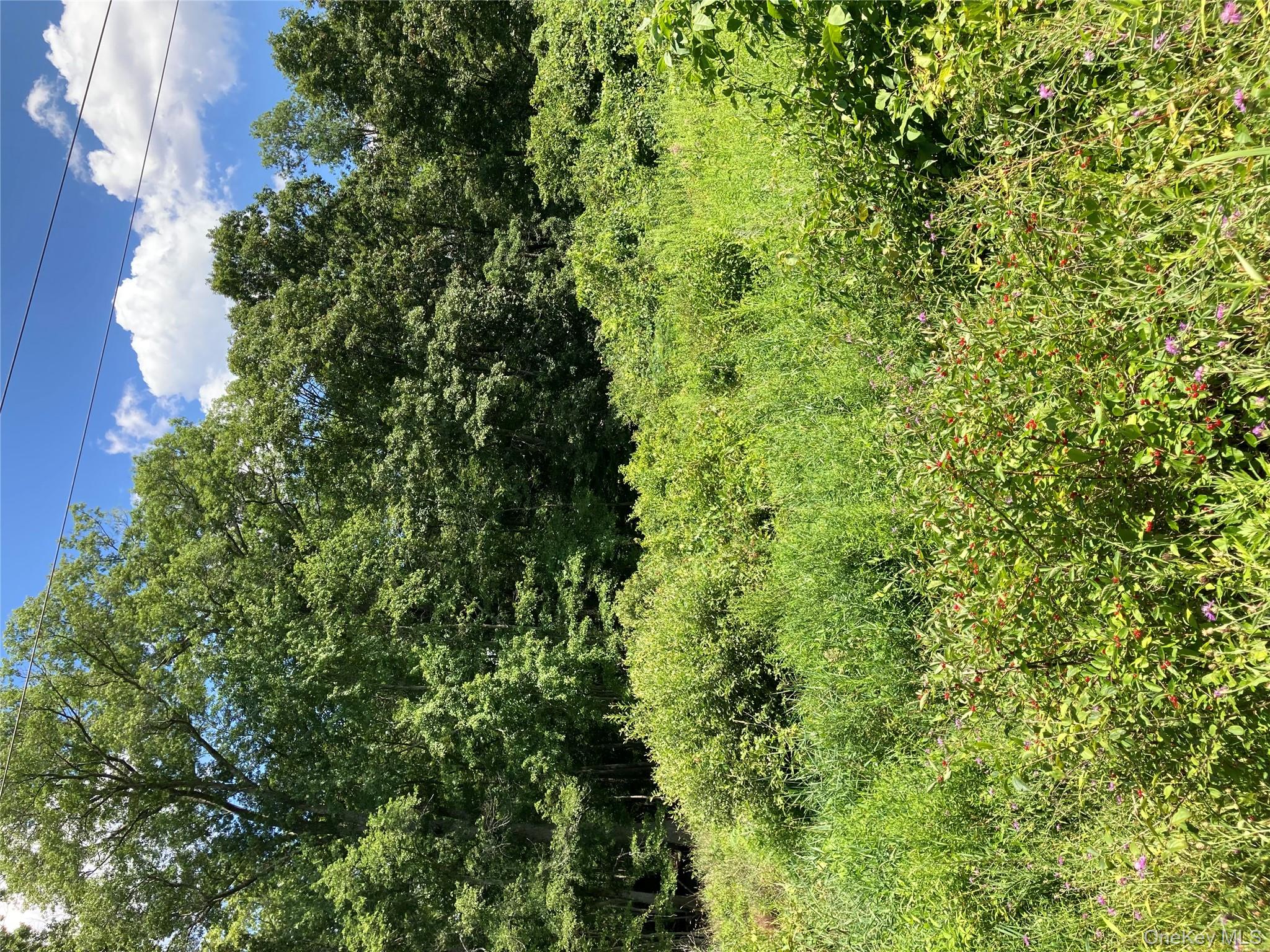 Baxtertown Road Fishkill, NY 12524 - Photo 17 of 19 a view of a garden with plants