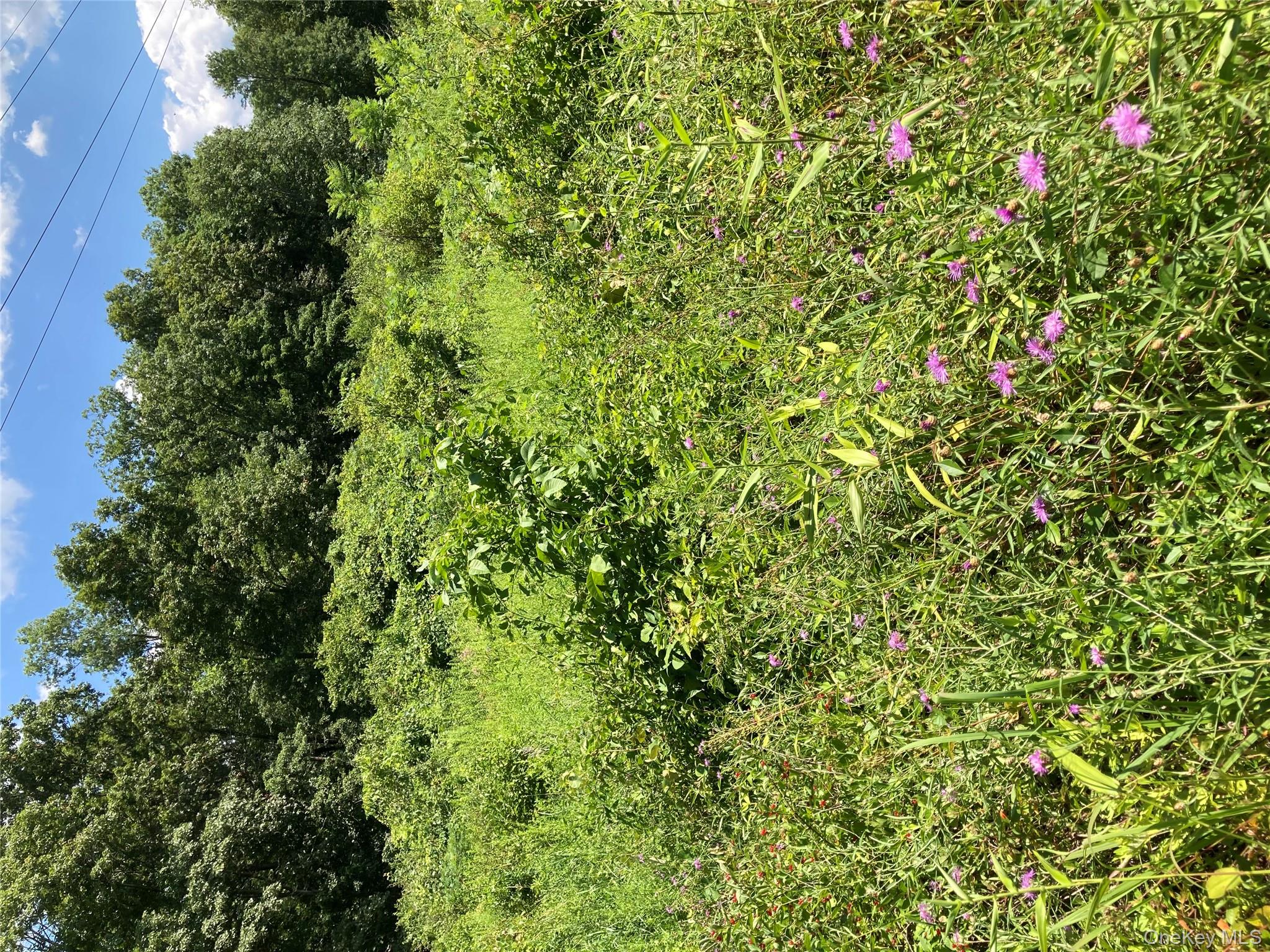 Baxtertown Road Fishkill, NY 12524 - Photo 18 of 19