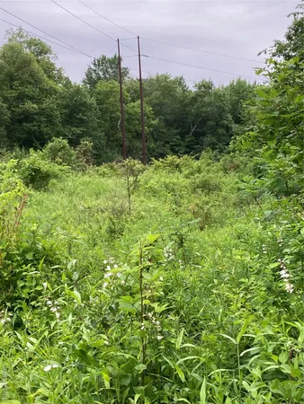 a view of a field of grass and trees
