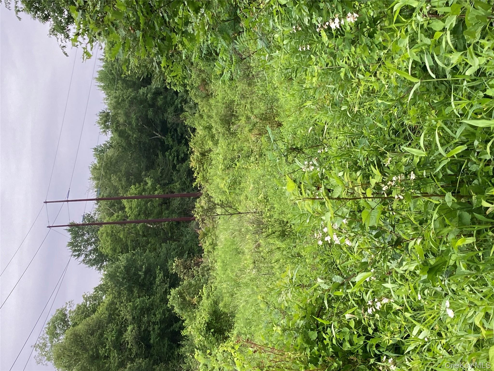 Baxtertown Road Fishkill, NY 12524 - Photo 3 of 19 a view of a field of grass and trees