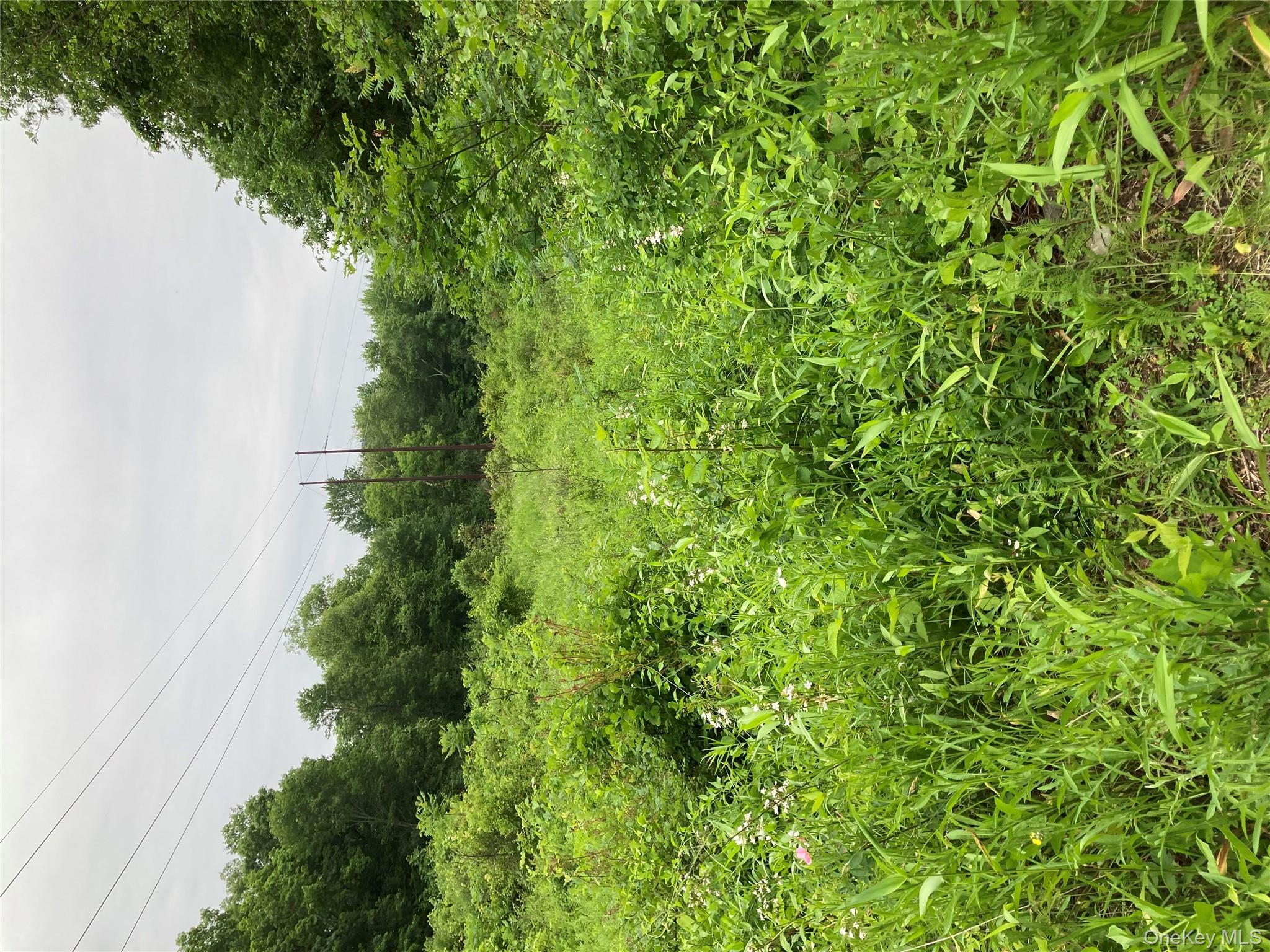 Baxtertown Road Fishkill, NY 12524 - Photo 4 of 19 a view of a big yard with plants and a large tree