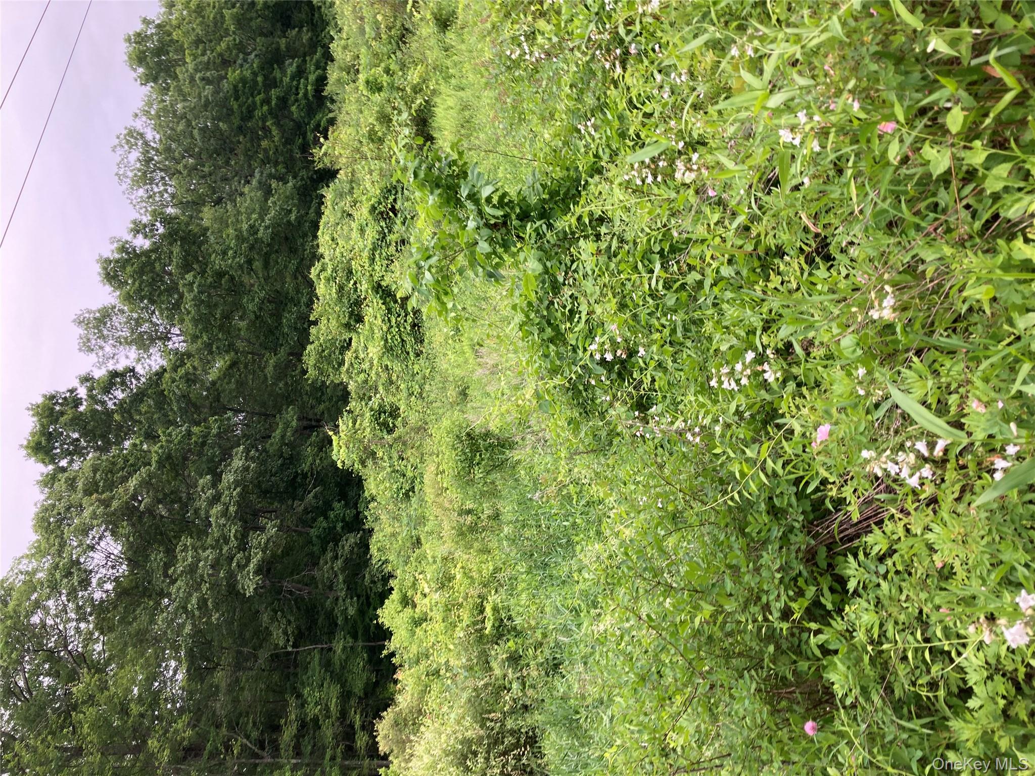 Baxtertown Road Fishkill, NY 12524 - Photo 5 of 19 a view of a green field