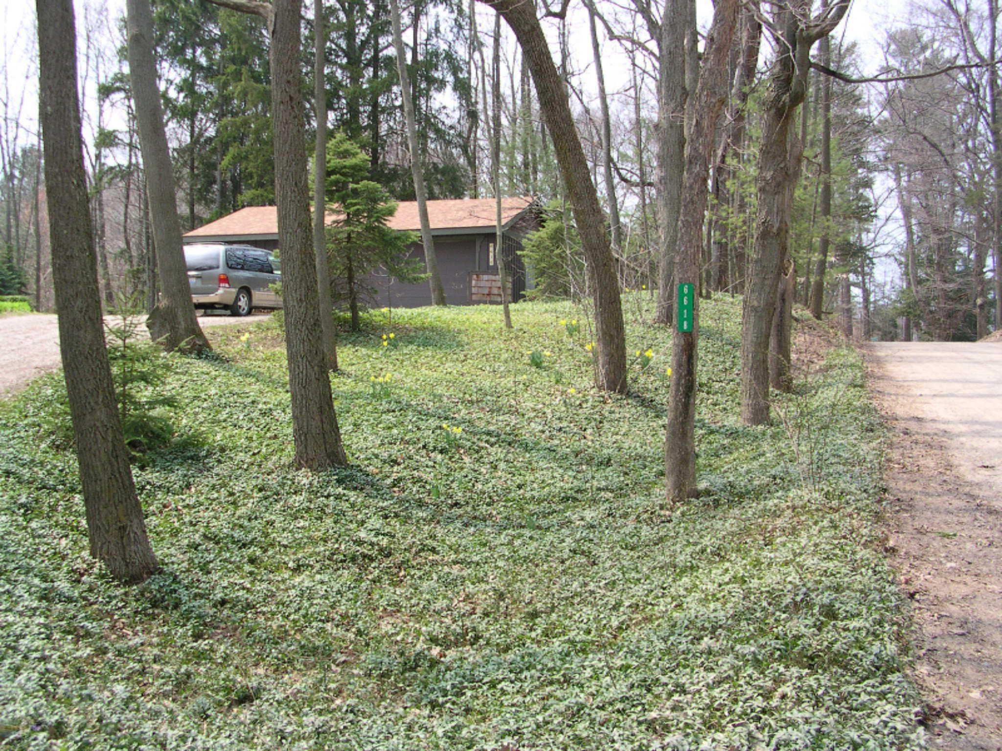 6618 Dugout Road Saugatuck, MI 49453 - Photo 3 of 23 FrontYard