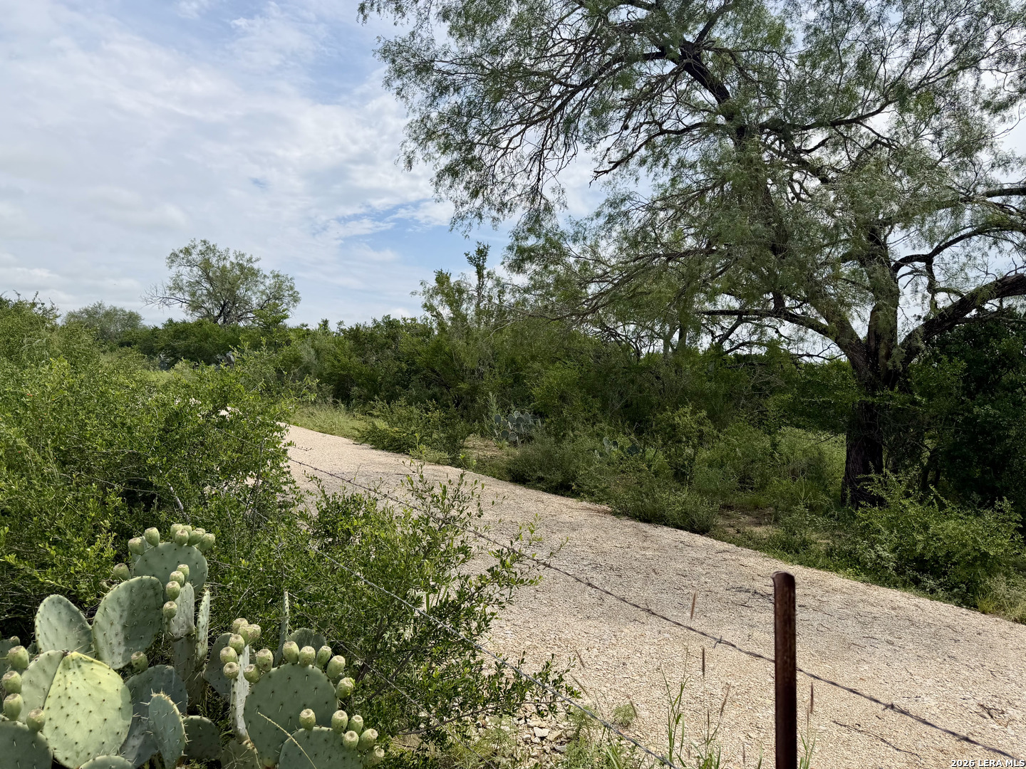 2018 Strawberry City Road Poteet, TX 78065 - Photo 2 of 10