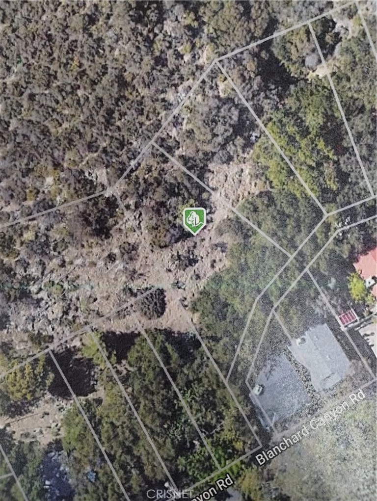 0 Black Walnut Tujunga Ca