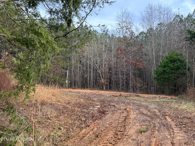 $94,500 | 286 County Road 285, Niota, TN 37826