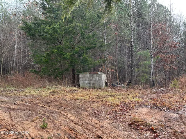 $94,500 | 286 County Road 285, Niota, TN 37826