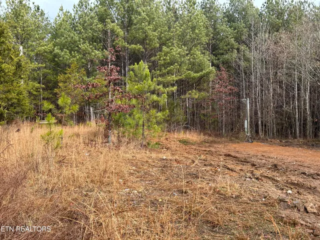$94,500 | 286 County Road 285, Niota, TN 37826