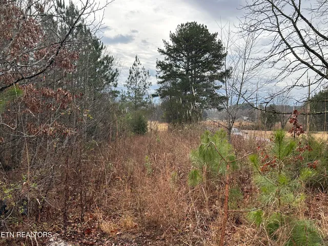 $94,500 | 286 County Road 285, Niota, TN 37826