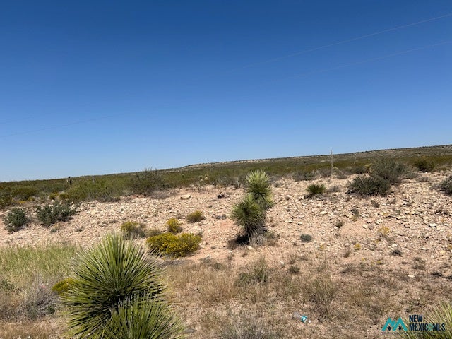 396 North Happy Valley Road Carlsbad, NM 88220 - Photo 3 of 9 Gallery Image 3