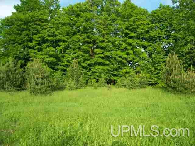 Tbd Johnson Road Sagola, MI 49881 - Photo 4 of 6
