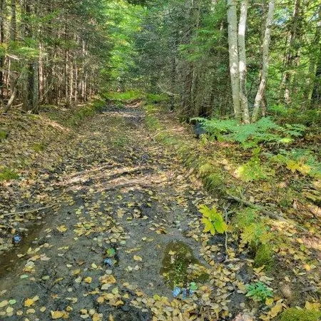 $185,000 | 862 Hemore Road, Houlton, ME 04730