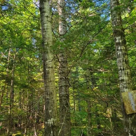 $185,000 | 862 Hemore Road, Houlton, ME 04730
