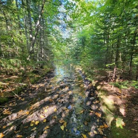 $199,000 | 862 Hemore Road, Houlton, ME 04730