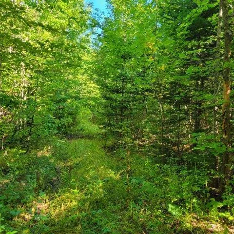 $199,000 | 862 Hemore Road, Houlton, ME 04730