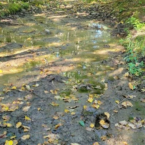 $199,000 | 862 Hemore Road, Houlton, ME 04730