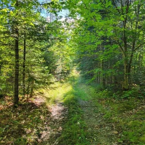 $199,000 | 862 Hemore Road, Houlton, ME 04730