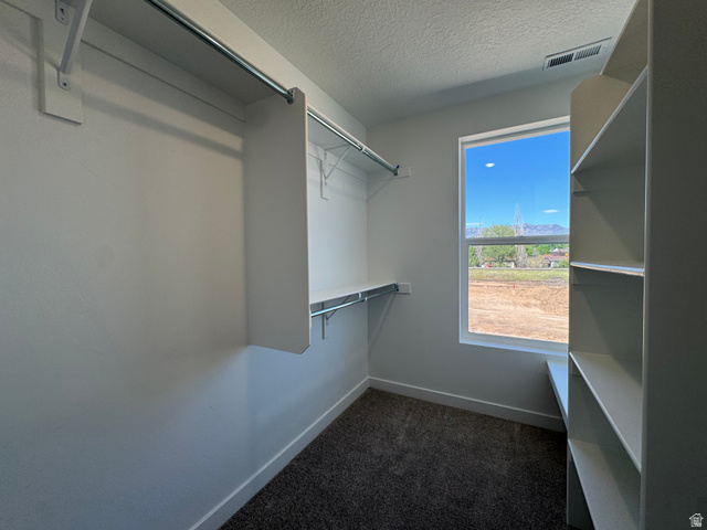 1476 North 1875 West, Unit 152 Layton, UT 84041 - Photo 16 of 20 Walk-in closet with built-in shelving, hanging rods, an exterior window, and dark carpet