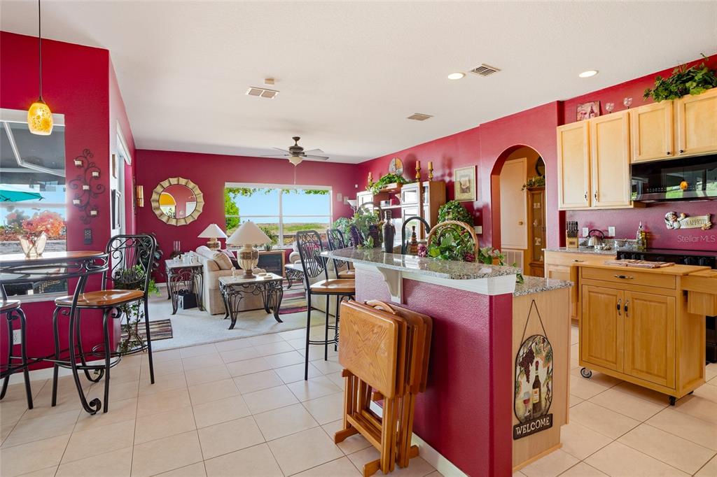 4154 Braemere Drive Spring Hill, FL 34609 - Photo 15 of 95
