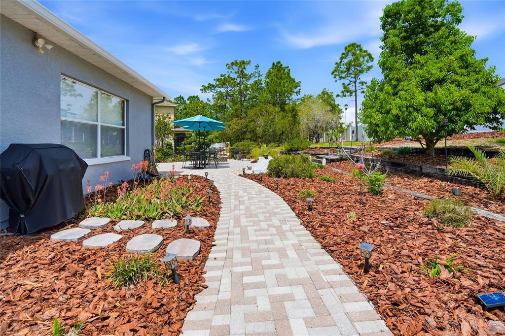 4154 Braemere Drive Spring Hill, FL 34609 - Photo 34 of 95 a view of a backyard with potted plants