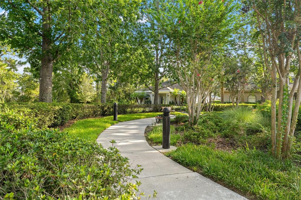 4154 Braemere Drive Spring Hill, FL 34609 - Photo 56 of 95 a view of a park with large trees