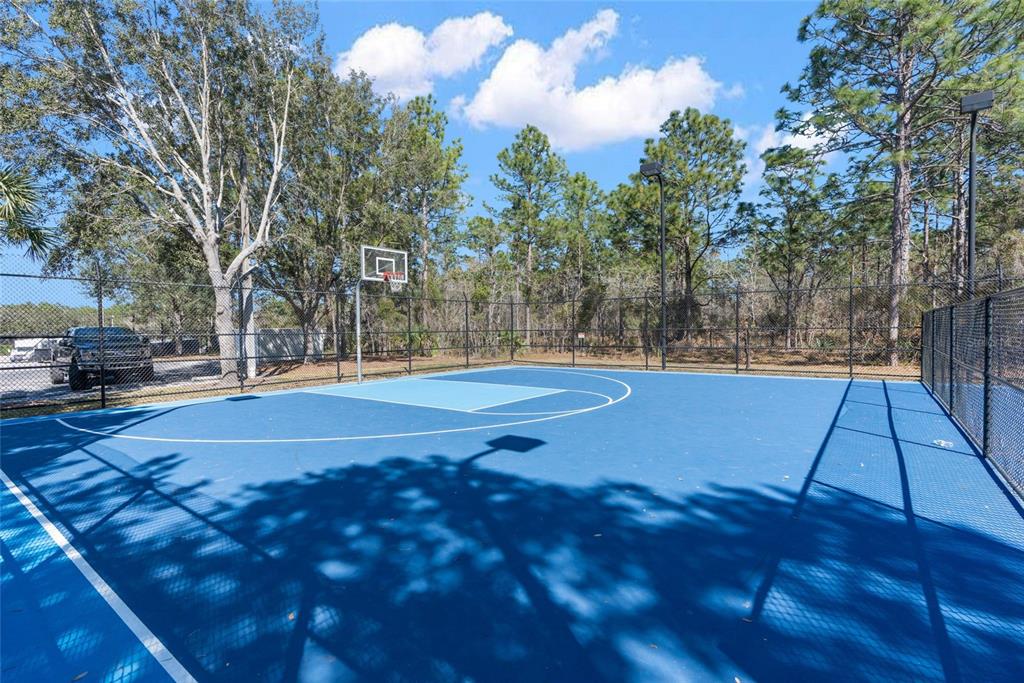 4154 Braemere Drive Spring Hill, FL 34609 - Photo 62 of 95 a view of yard with large trees