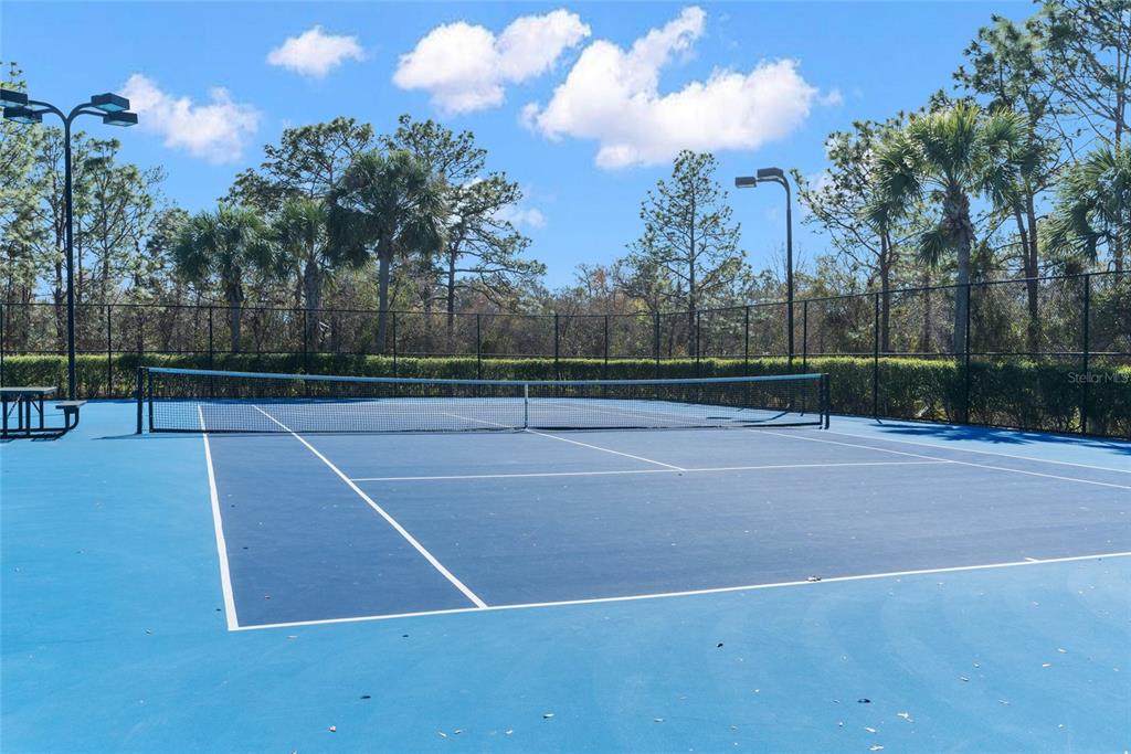4154 Braemere Drive Spring Hill, FL 34609 - Photo 63 of 95