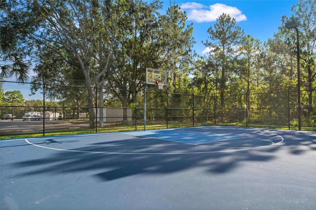 4154 Braemere Drive Spring Hill, FL 34609 - Photo 64 of 95