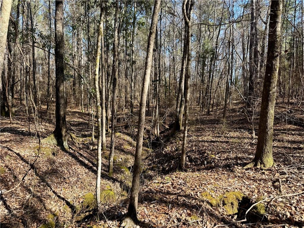 0 White Owl Road Seale, AL 36875 - Photo 4 of 5 Gallery Image 4