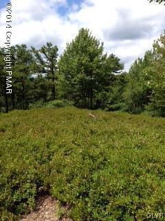 5948 Clover Road, Unit 5948 Long Pond, PA 18334 - Photo 3 of 11 a view of a field with plants and trees in the background