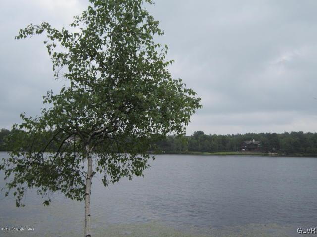 5948 Clover Road, Unit 5948 Long Pond, PA 18334 - Photo 8 of 11 a view of lake with green space