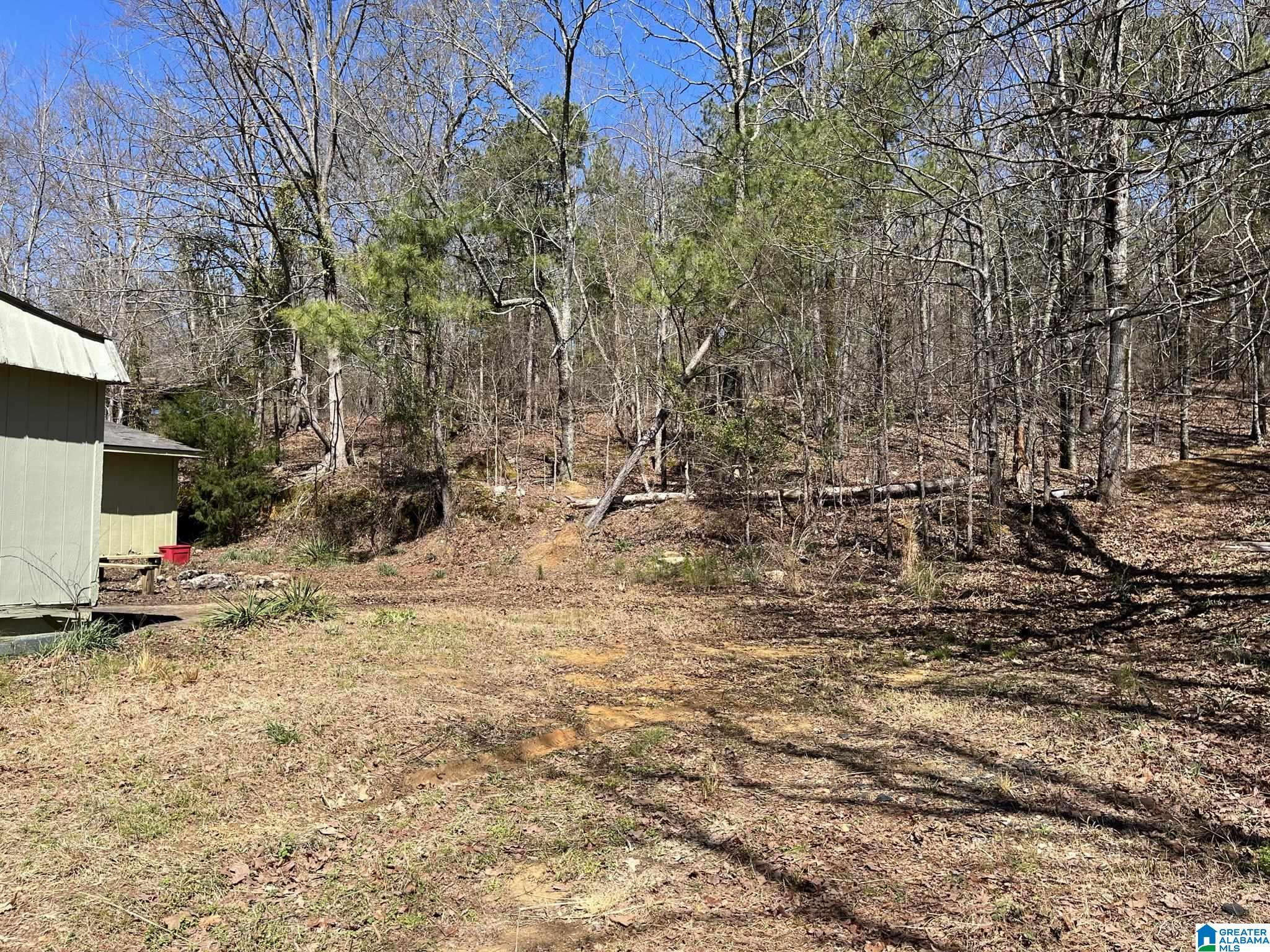 150 Wilson Mine Road, Unit 910 Piedmont, AL 36272 - Photo 28 of 36