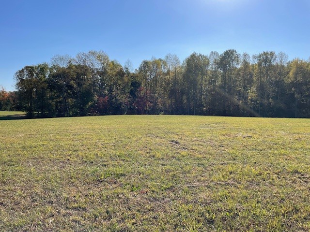 12 Riley Creek Road Normandy, TN 37360 - Photo 1 of 1 a view of a pool with trees in the background