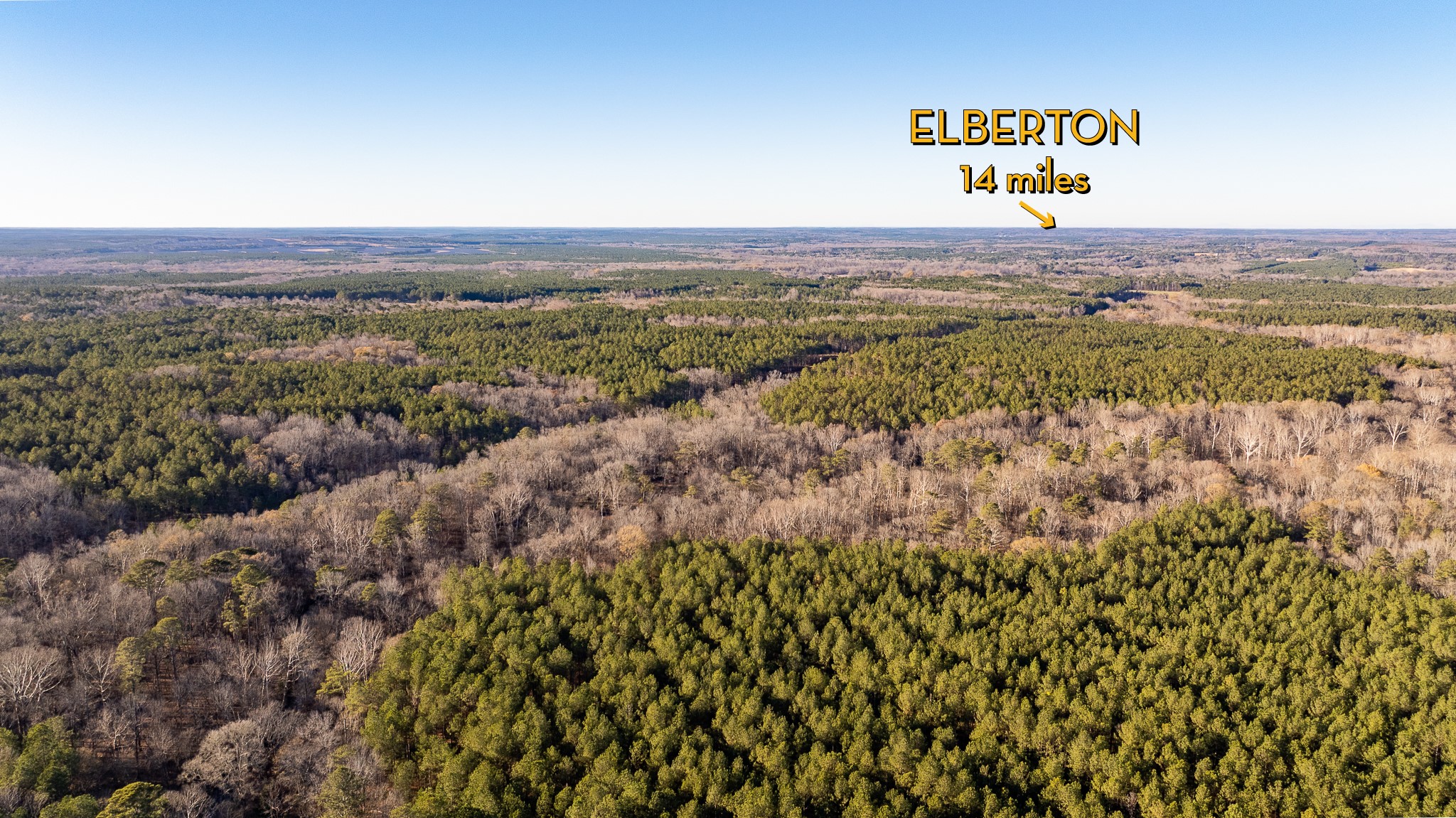 8548 Elberton Road Tignall, GA 30668 - Photo 44 of 50 a view of a field with lots of bushes