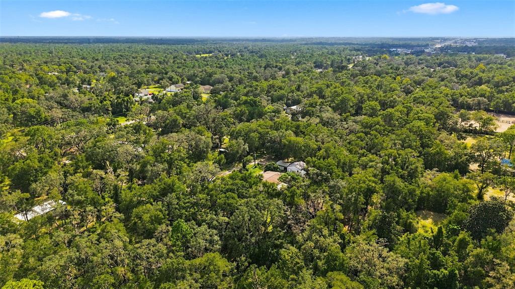 16179 Wiscon Road Brooksville, FL 34601 - Photo 42 of 50 Gallery Image 42
