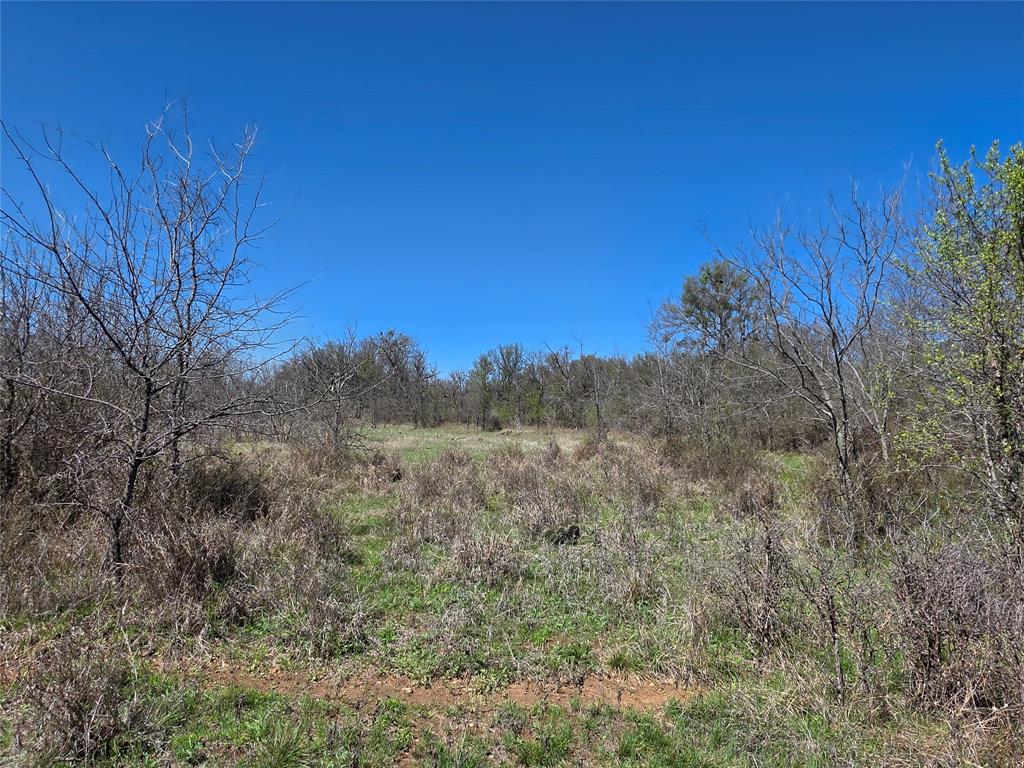 309 Highway 36 Gustine, TX 76455 - Photo 8 of 36 a view of a dry yard with trees in the background