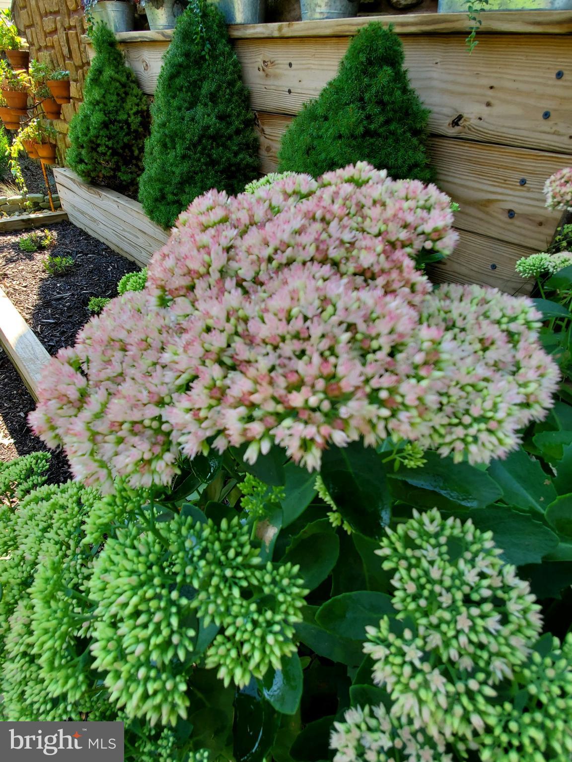 19 Geraldine Road Hightstown, NJ 08520 - Photo 38 of 38